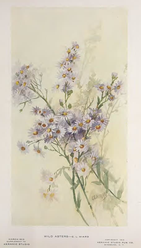 1913 Wild Asters Keramic Studio