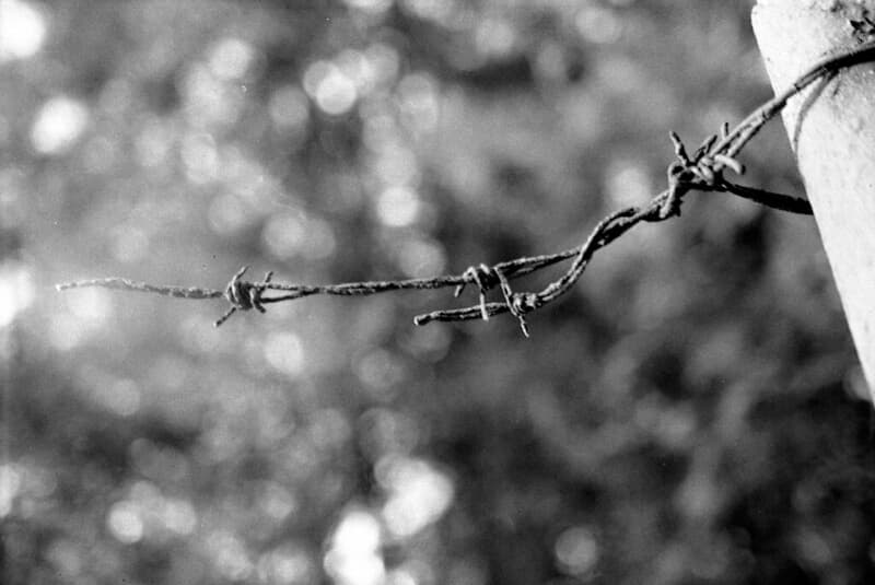 Praktica MTL5 + Industar-61 L/Z - Barbed Wire