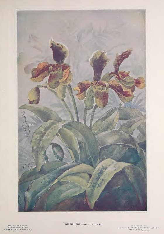 1906 Orchids Keramic Studio