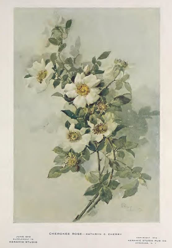 1912 Cherokee Rose Keramic Studio