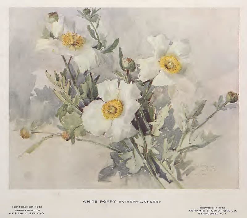 1912 White Poppy Keramic Studio