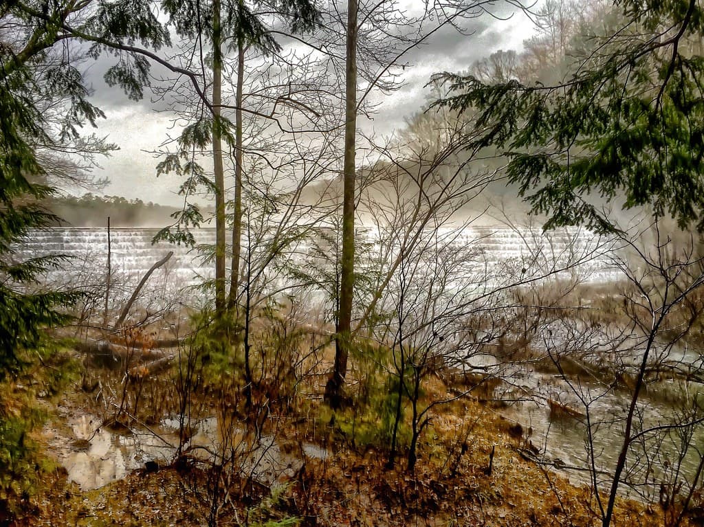 Almost There - Bankhead National Forest in Alabama