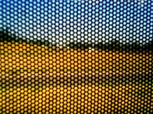 Bus window