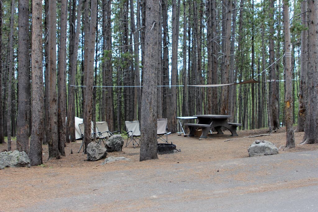 Canyon Campground site