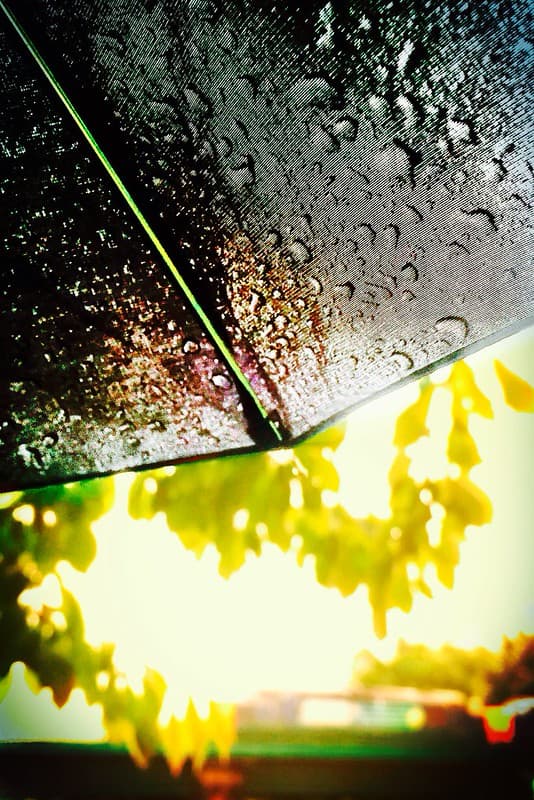 Summer Rain (Explore)