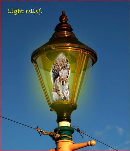 Lamp SQR 1