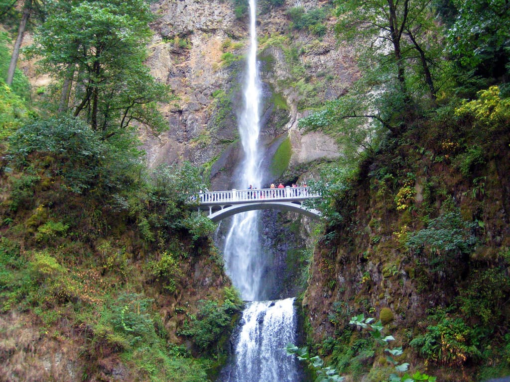 People Walking on a Bridge by a Waterfall