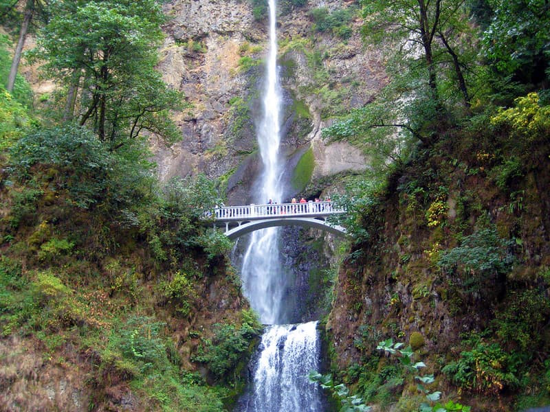 People Walking on a Bridge by a Waterfall