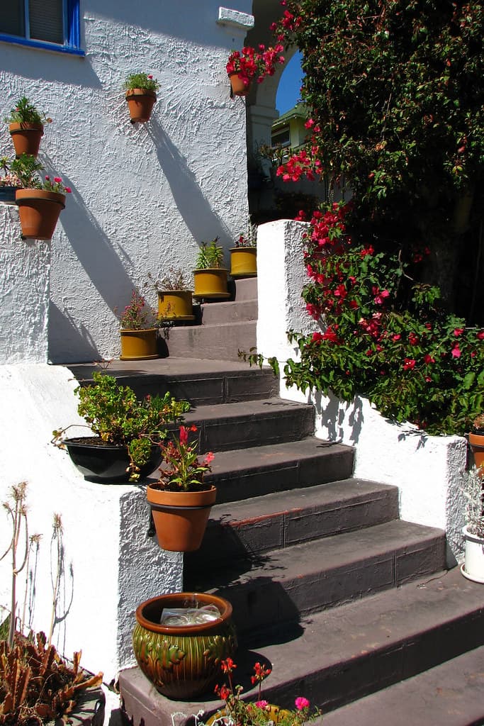 Staircase with pots