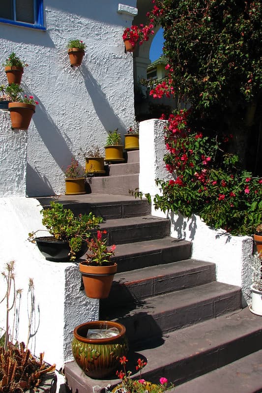 Staircase with pots