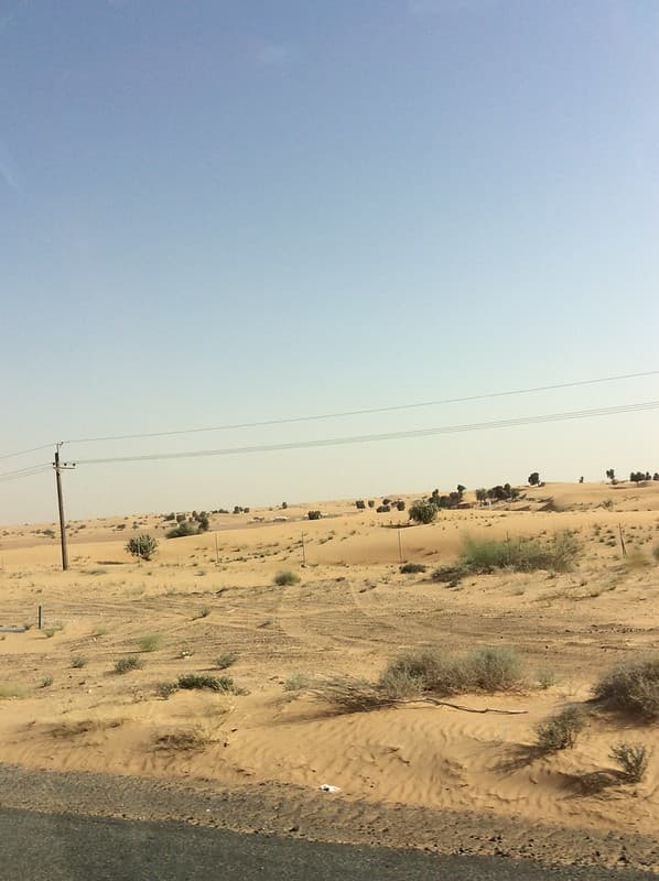 Dubai desert