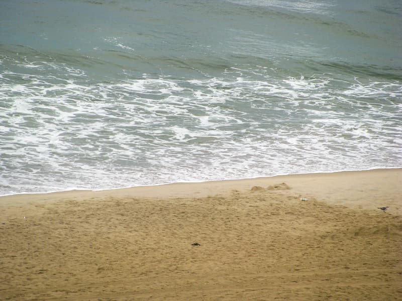 Seashore with Sand and Ocean Water