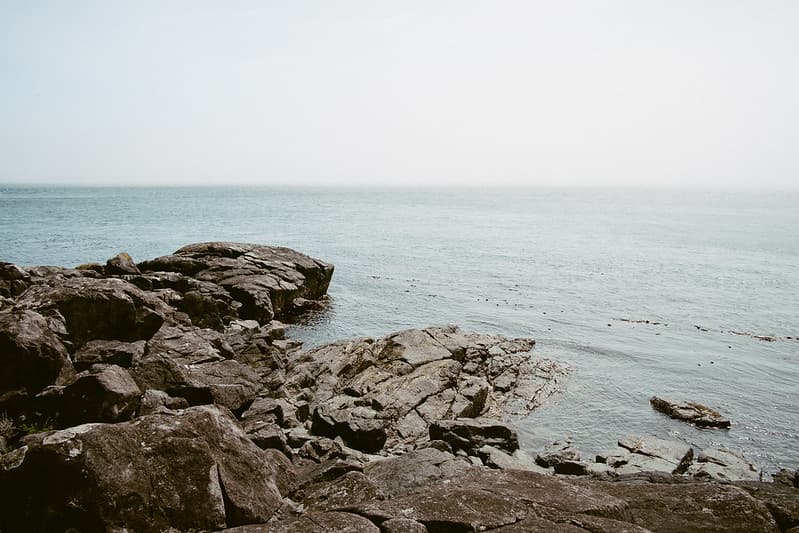 Rocky Ocean Shore