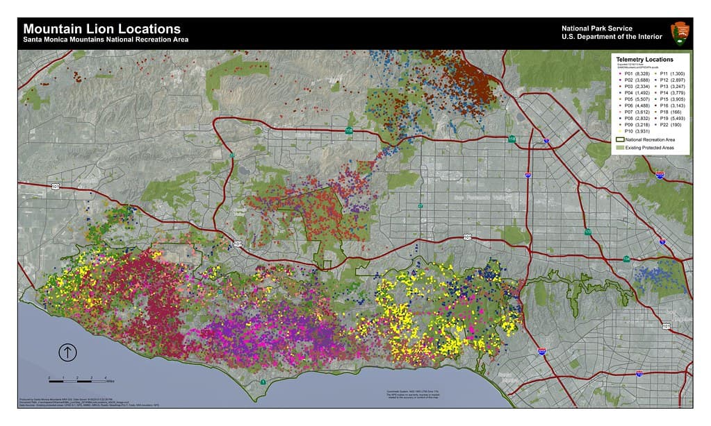Mountain Lion GPS Data Points