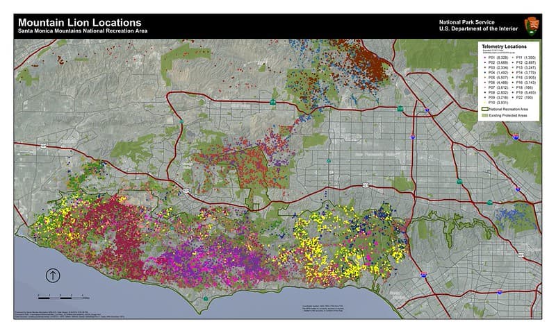 Mountain Lion GPS Data Points