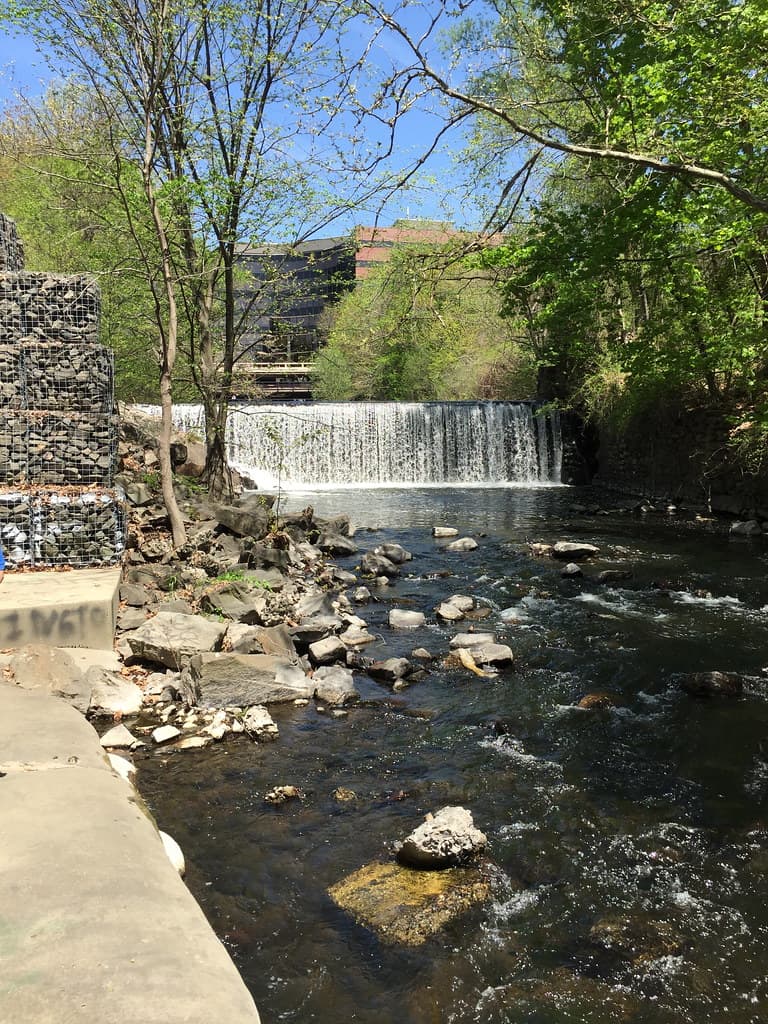 Flock Process Dam including wire mesh wall