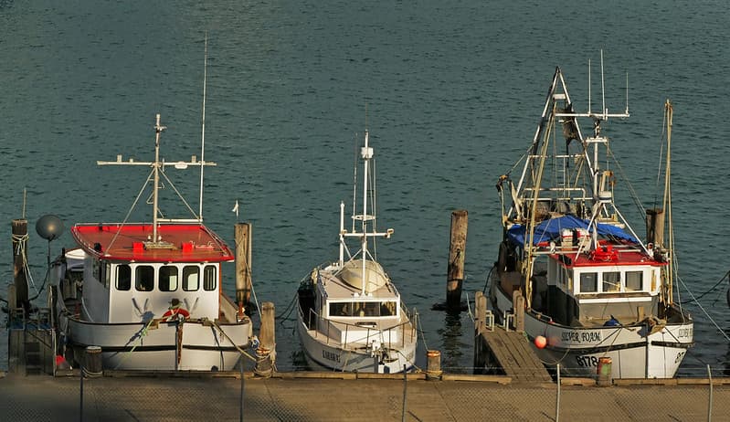 Fishing boats quayside.
