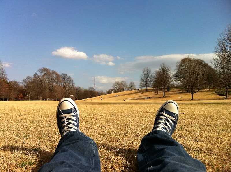 Converse Sneakers on Feet of Person Laying in Field