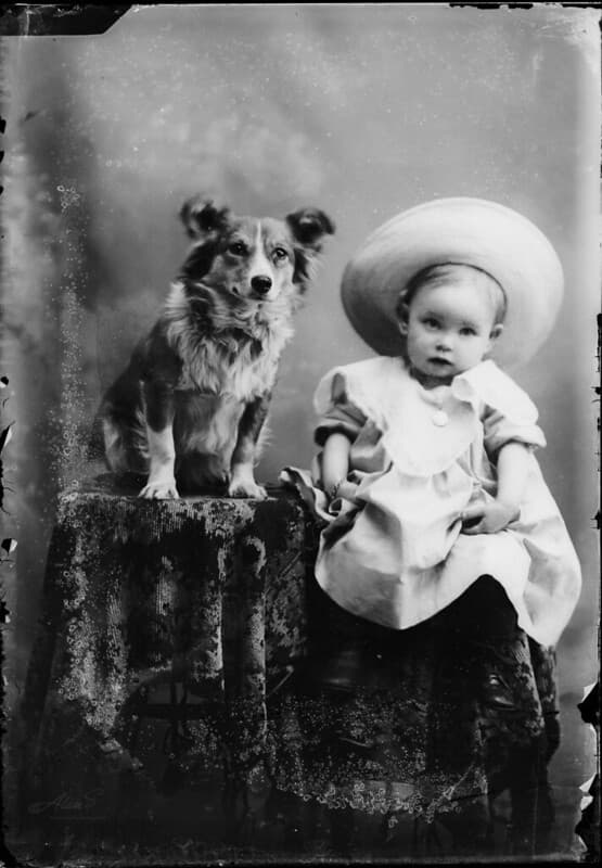 Baby and dog - vintage film