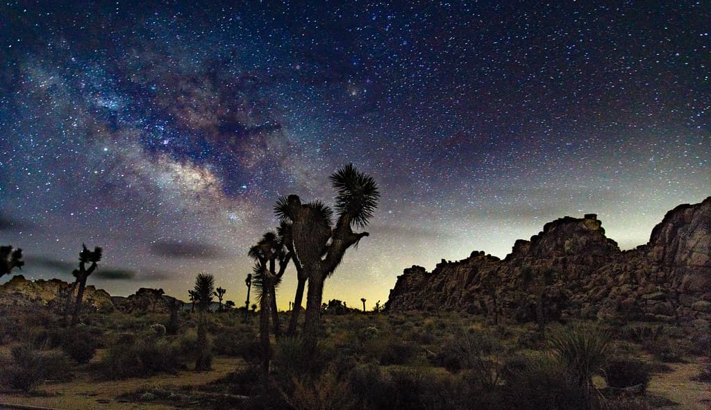 Night sky @ Joshua Tree #2