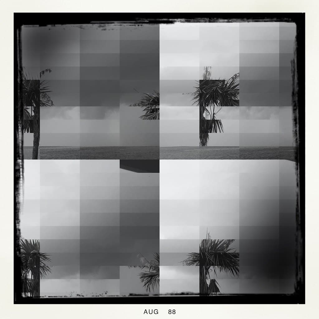 Abstract Palms