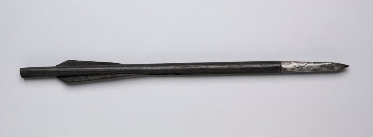 Crossbow Bolt