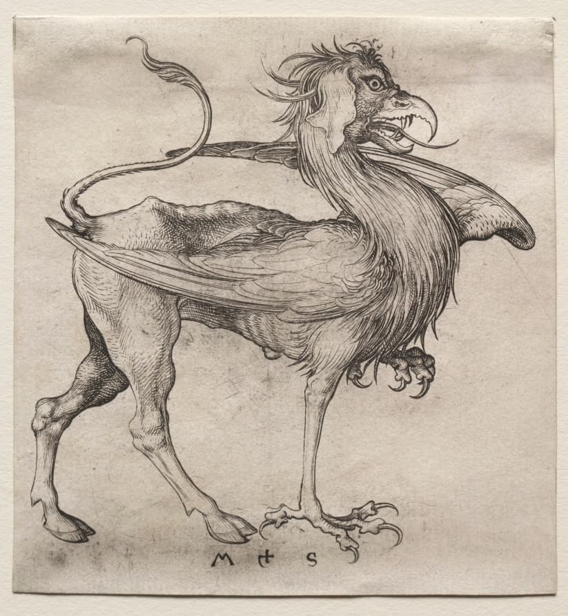 The Griffin