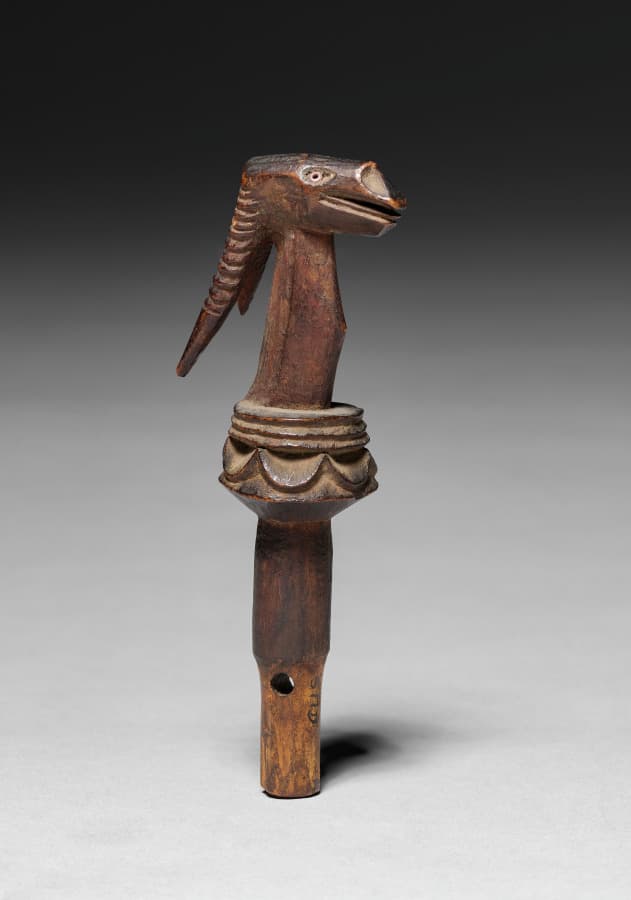 Garment, wood, glass