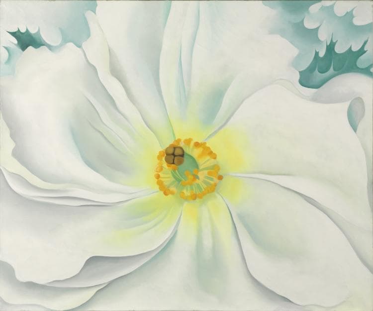White Flower