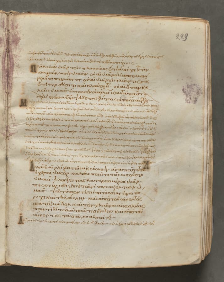 Text, folio 229 (recto), from a Gospel Book with Commentaries