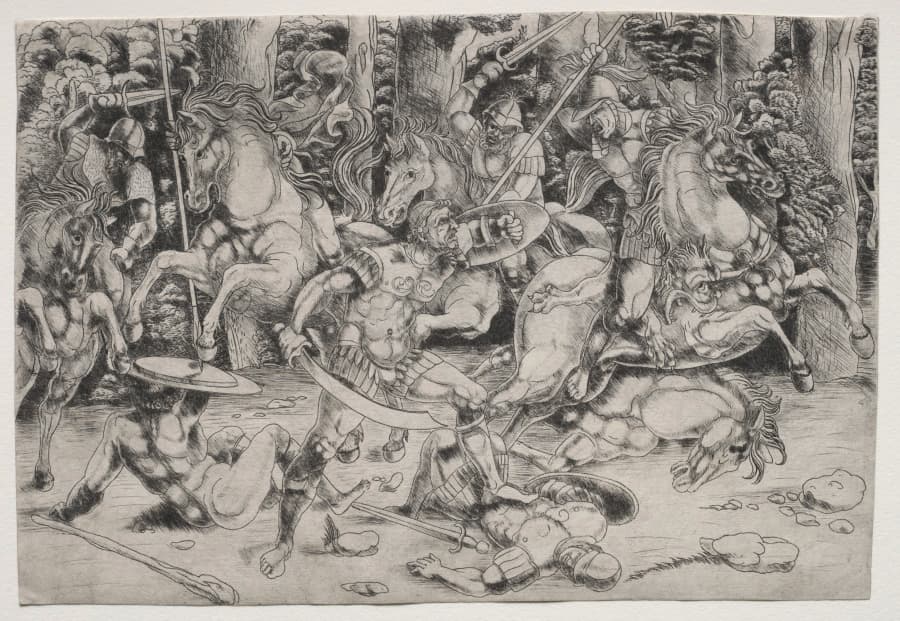 Battle in a Wood