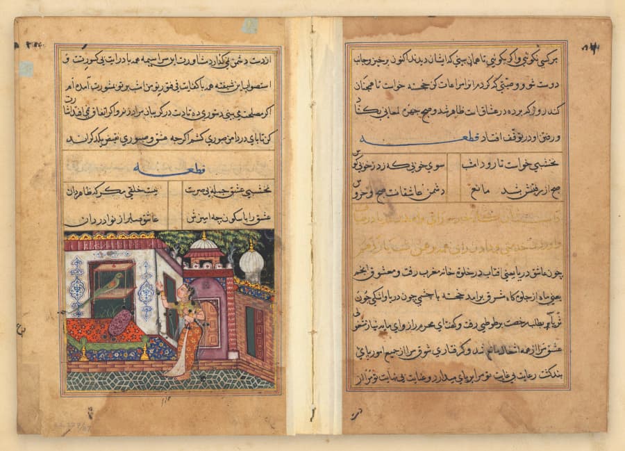Tuti-Nama (Tales of a Parrot)