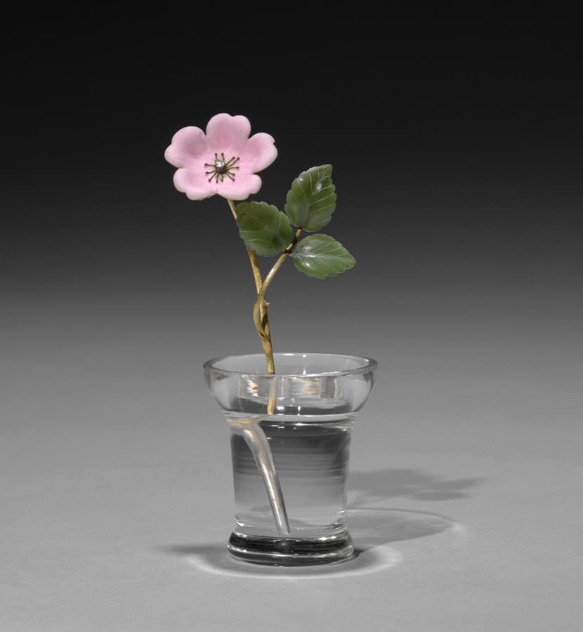 Flower Study of a Wild Rose