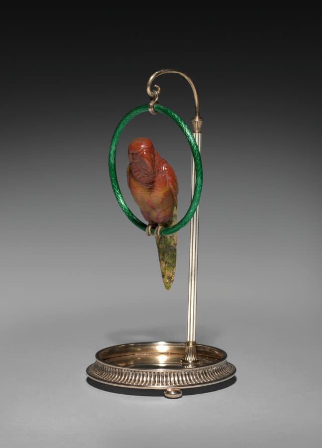 Parrot on a Perch