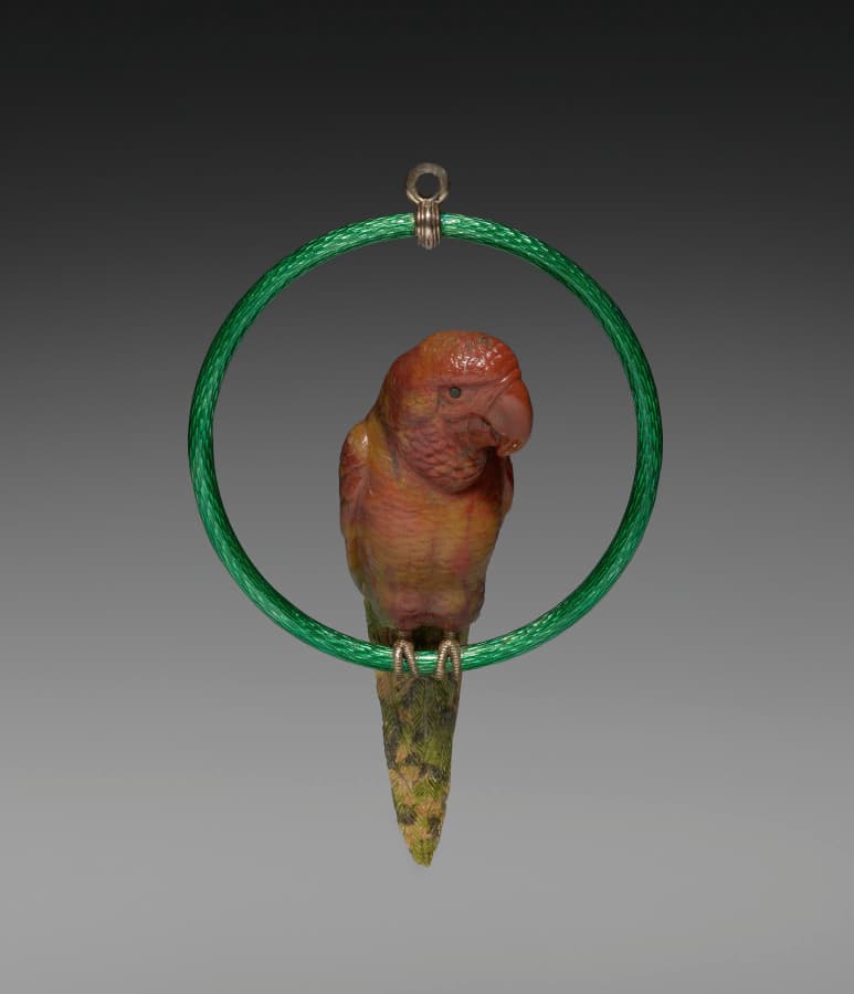 Parrot from the Parrot on a Perch