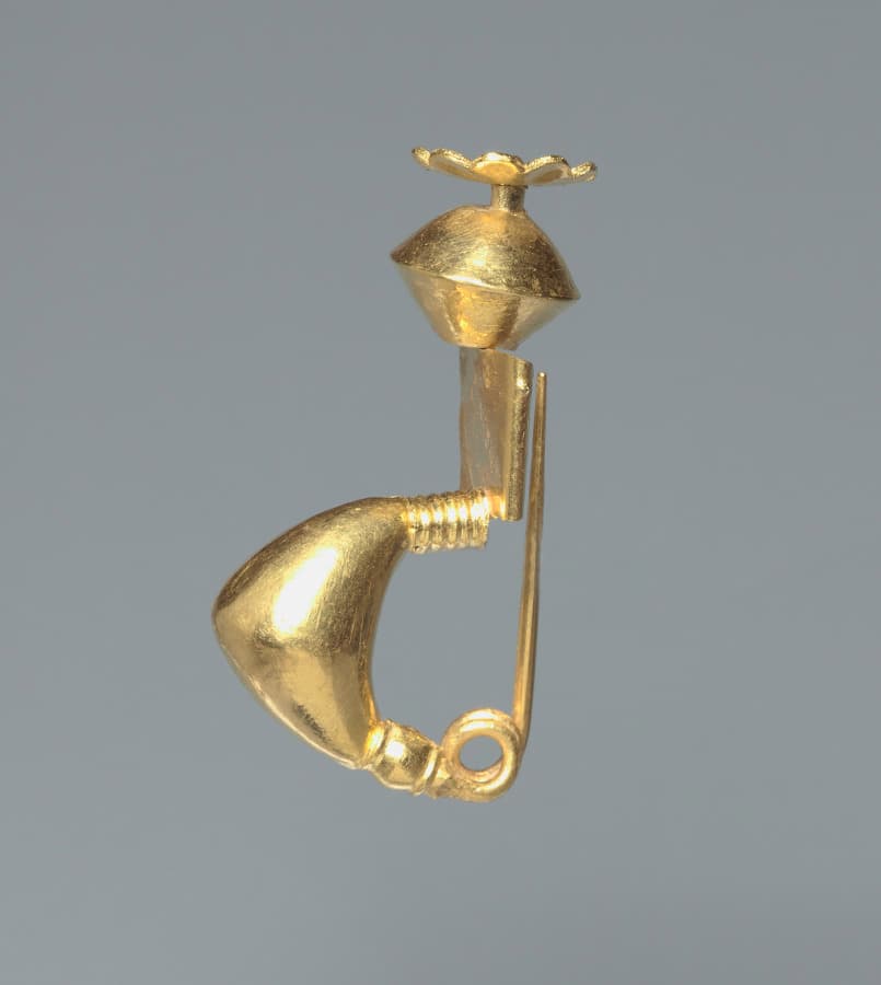 Fibula (Pin)