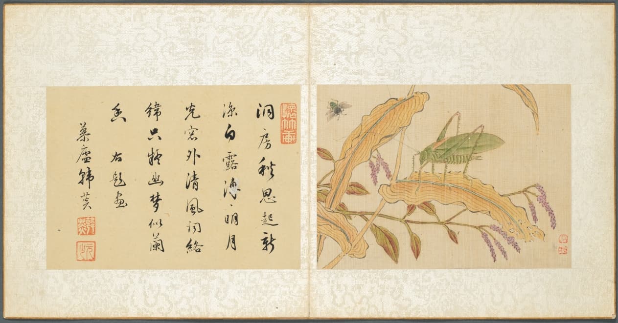 Album of Miscellaneous Subjects, Leaf 7