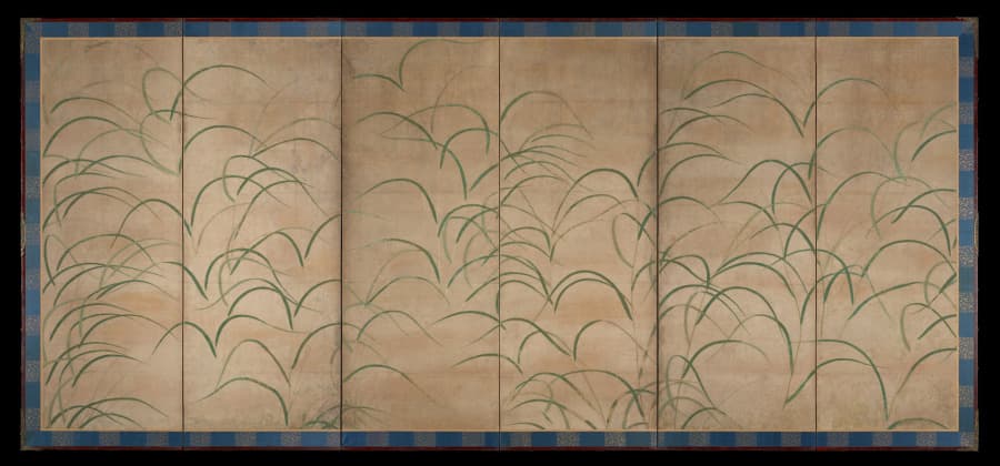 Susuki Grass