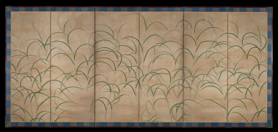 Susuki Grass