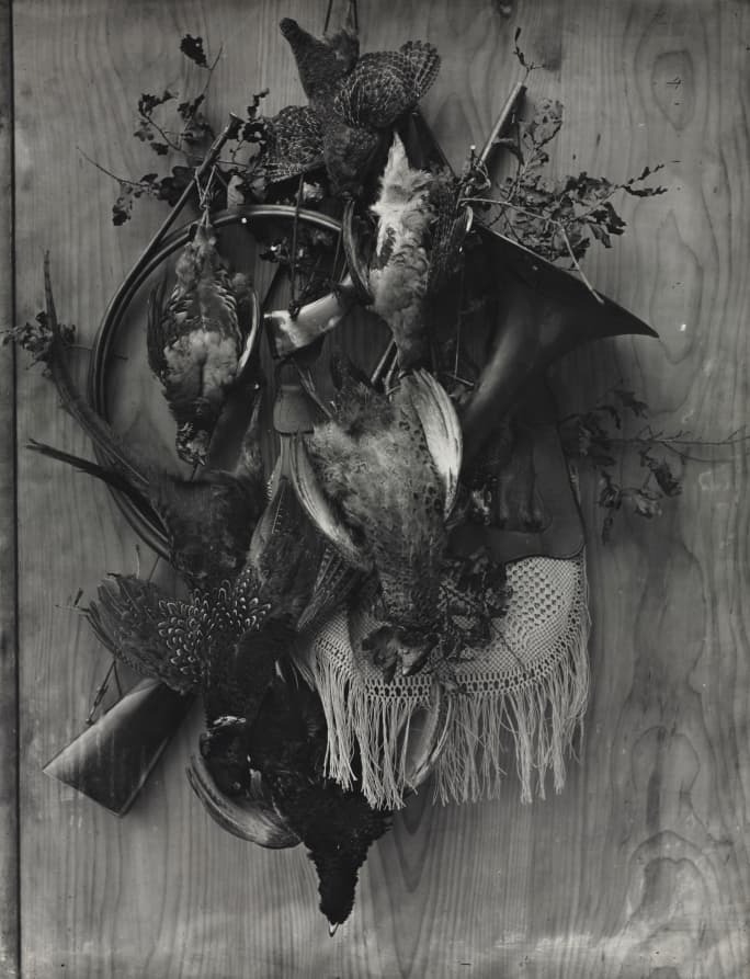 Trophy of the Hunt