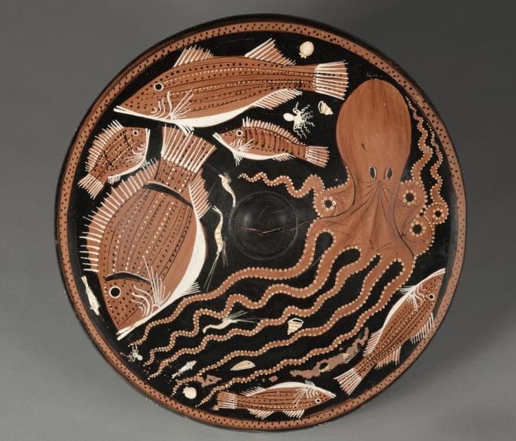 Red-Figure Fish Plate: Octopi, Mullet, Bream, Shellfish