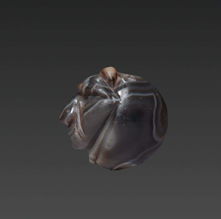 Seal Amulet in the form of a Lion's Head