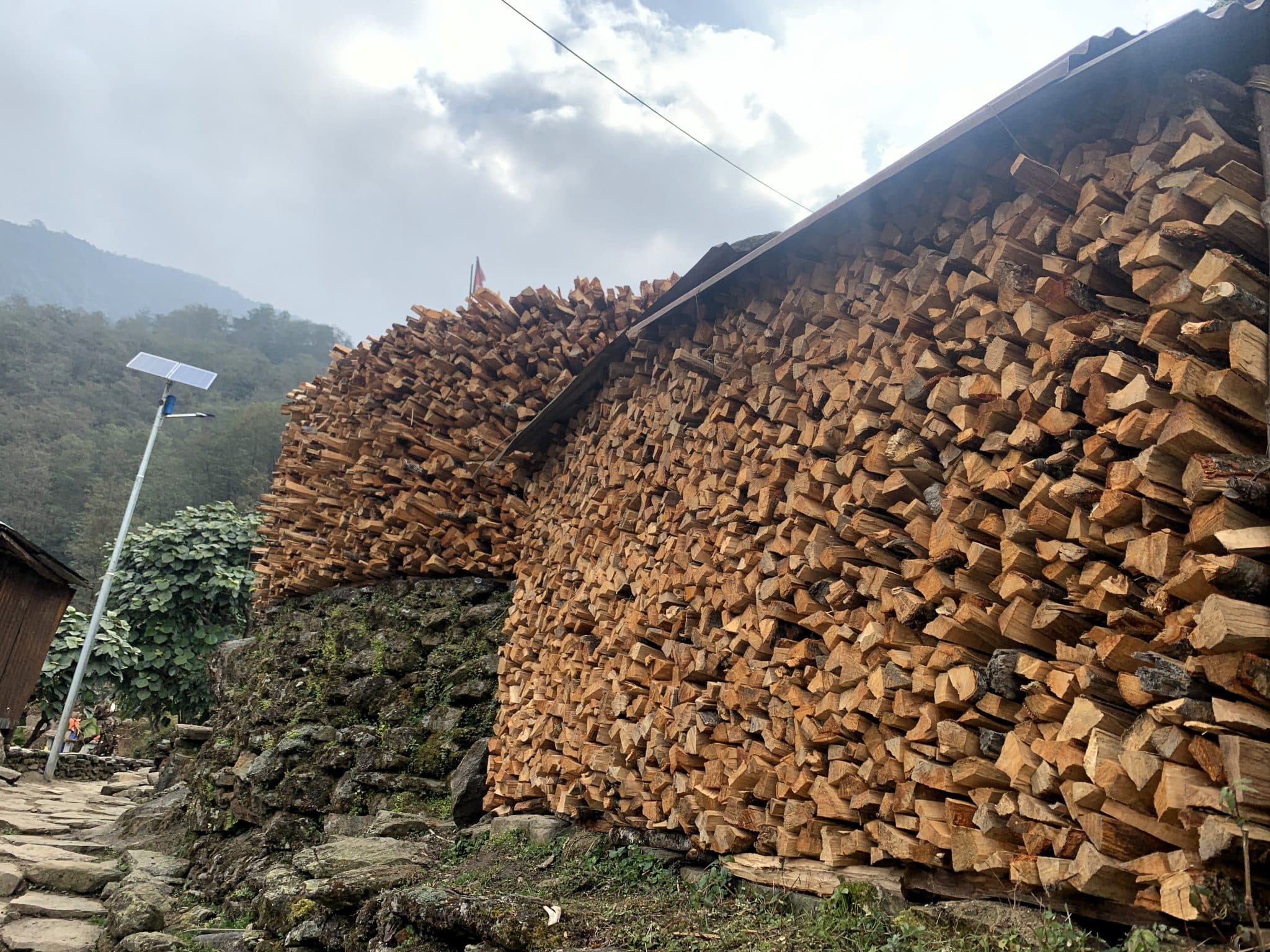 Logging, wood