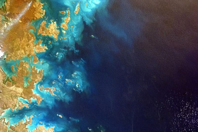 Reef from above