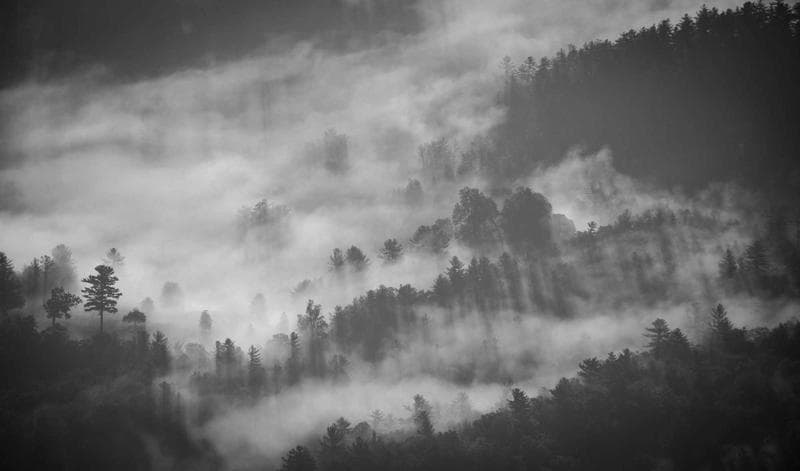 Valley in mono