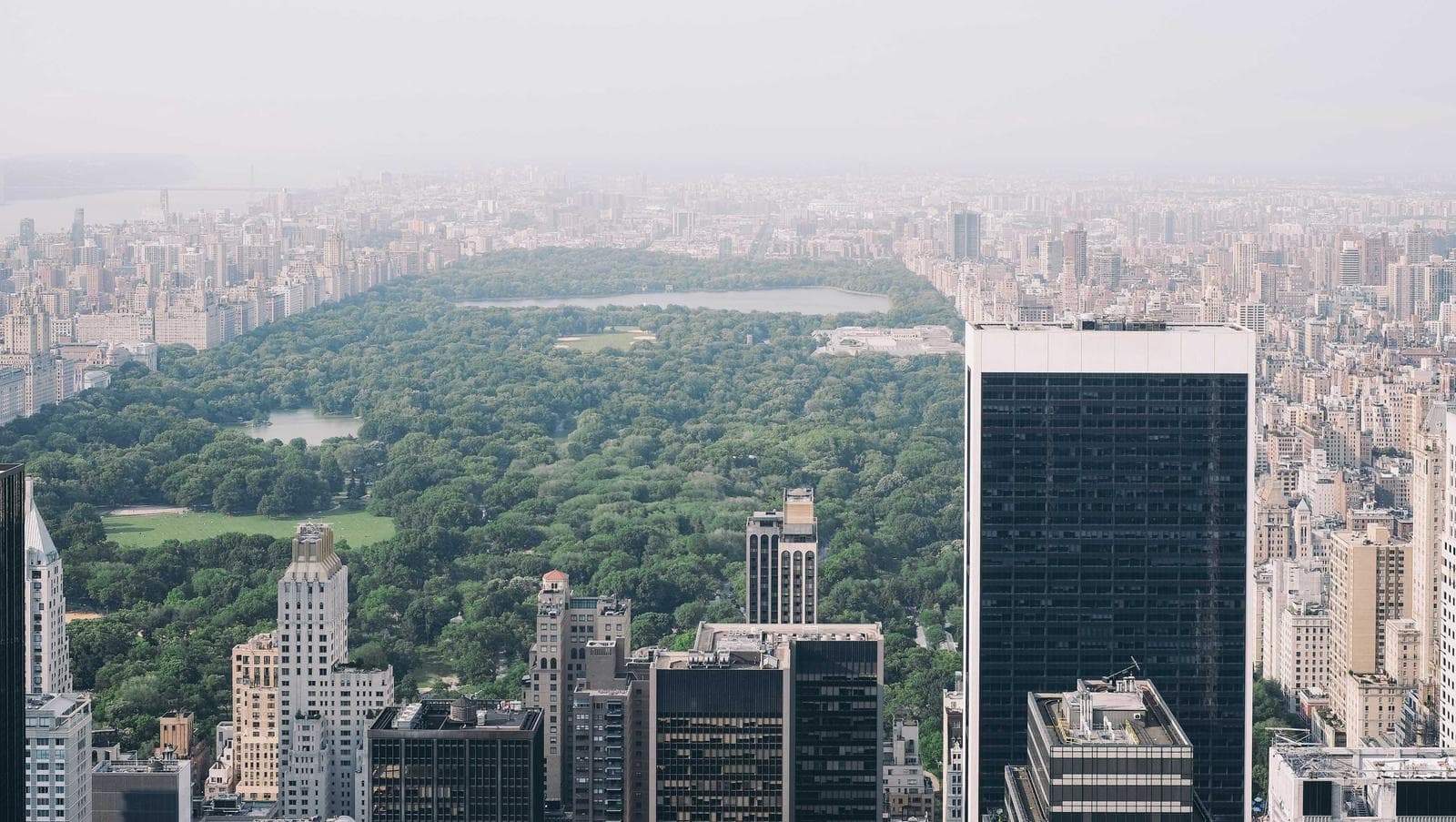 City and park