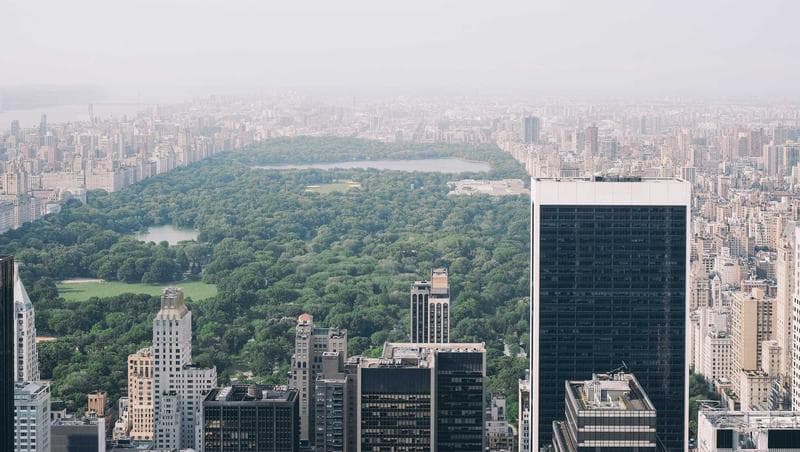City and park