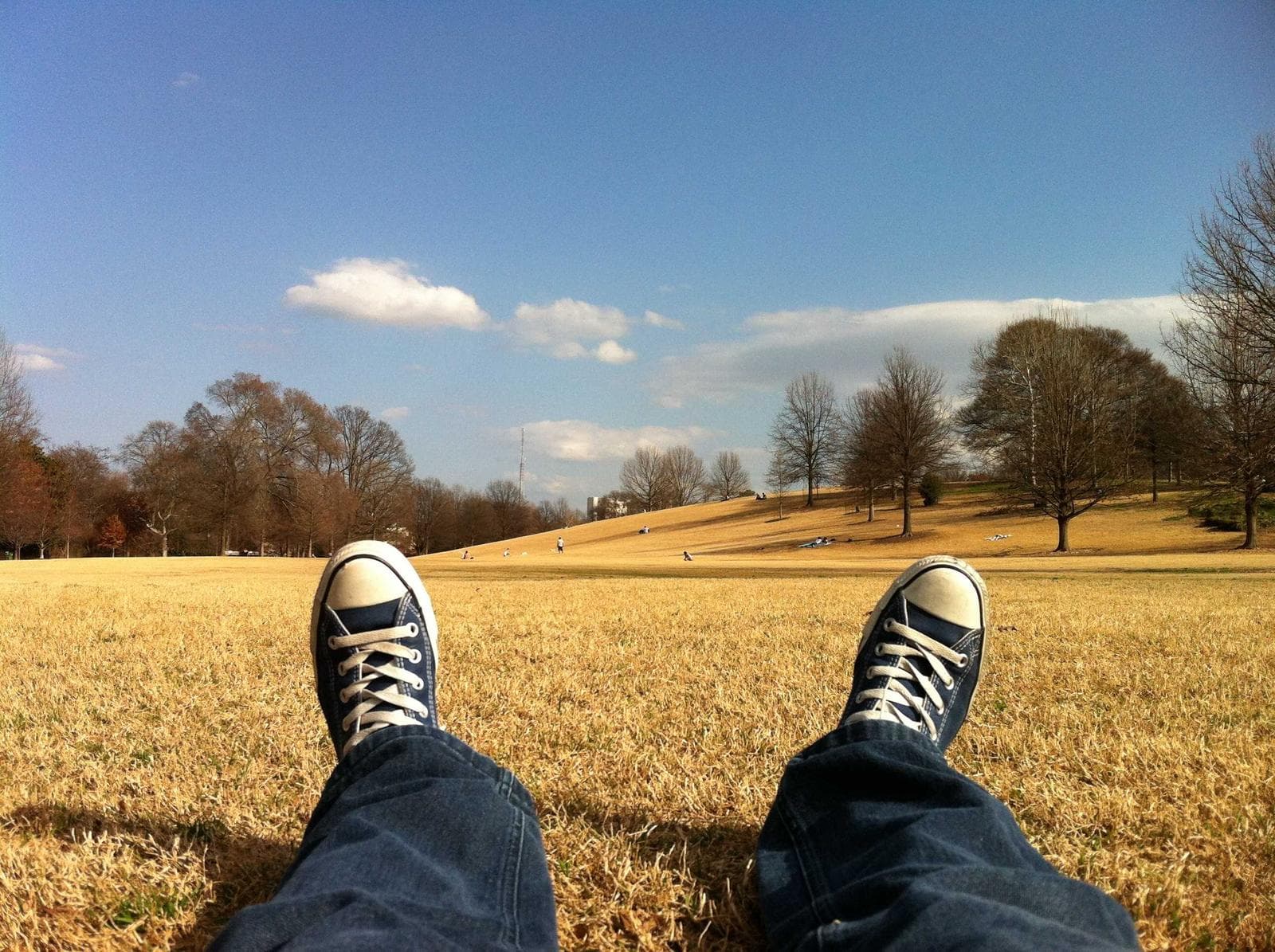 Shoes in a field