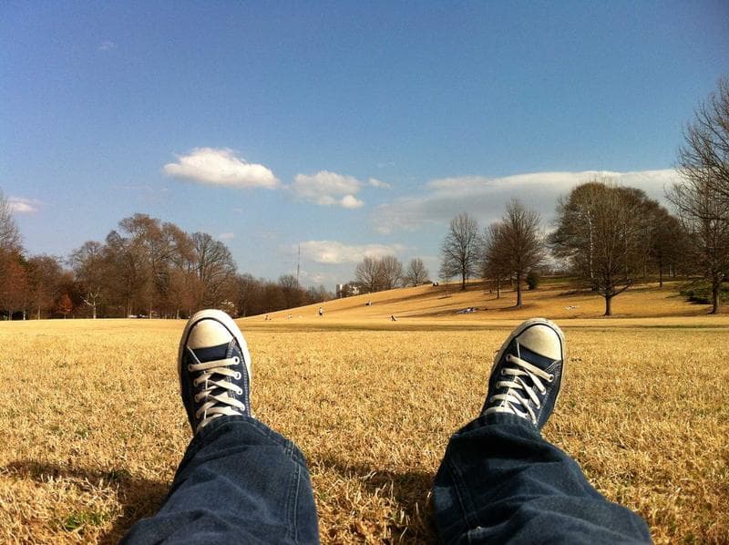 Shoes in a field