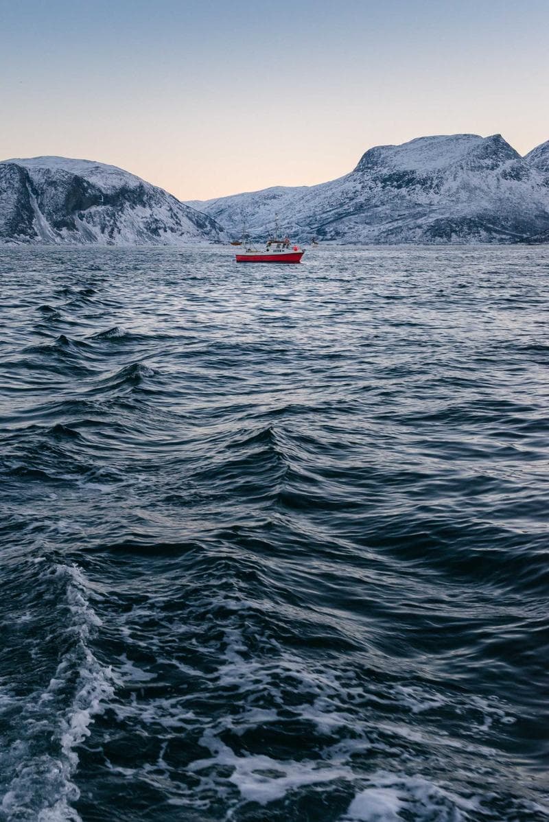 Boat on the water